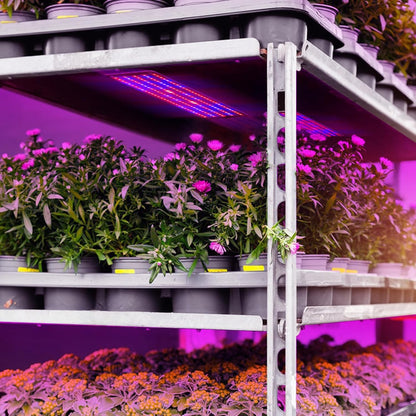 Led Quantum Plant Light Panel For Growth And Colour Promotion - With Adjustable Light Mode