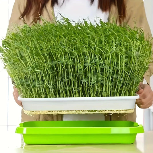 Germination Trays with Lid - Double - Layer Seed Tray for Effective Seed Germination