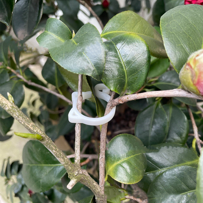 Cat - Shaped Plant Clip - Cute Plant Support for Garden and Houseplants