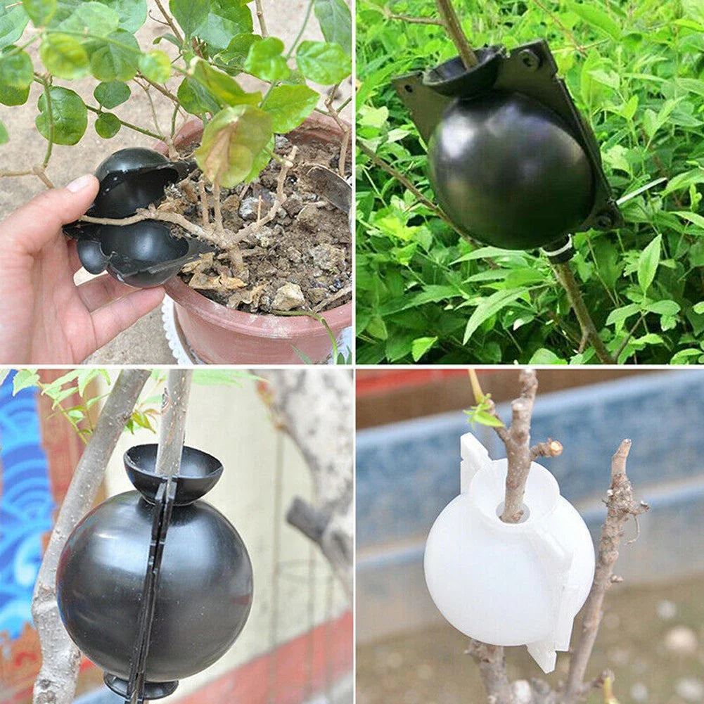 Plant Protection Balls for Roots - Protective Caps for Safe Transplanting and Growth