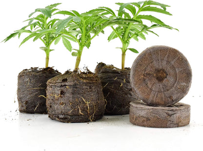Coconut Fibre Peat Growing Pellets - Starter for Seed Planting