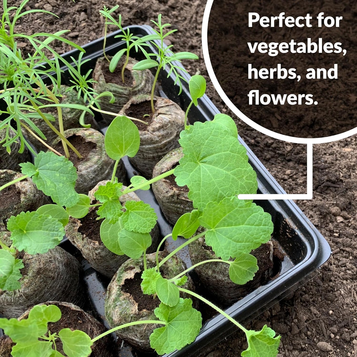 Coconut Fibre Peat Growing Pellets - Starter for Seed Planting