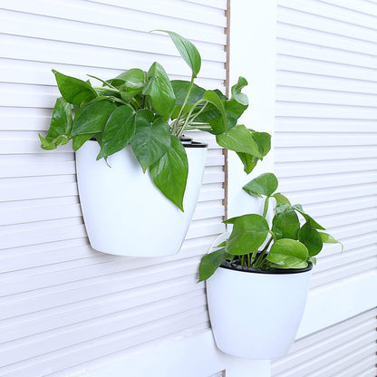 Self - Watering Hanging Plant Pot - Modern Flower Pot for Wall Mounting