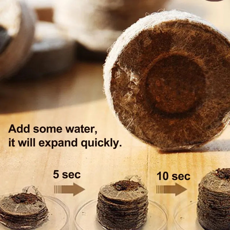 Coconut Fibre Peat Growing Pellets - Starter for Seed Planting