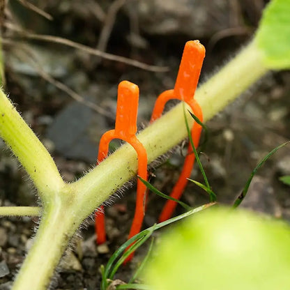 Plastic Garden Plant Support Clamps for Optimum Plant Stability