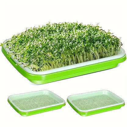 Germination Trays with Lid - Double - Layer Seed Tray for Effective Seed Germination