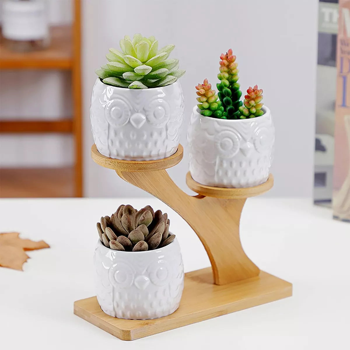 Decorative Wooden Plant Stand - Plant Pots in Owl Design for Succulents and Houseplants
