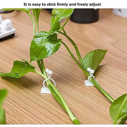Climbing Wall Fastening Clips - Practical Plant Holders for Wall Decoration