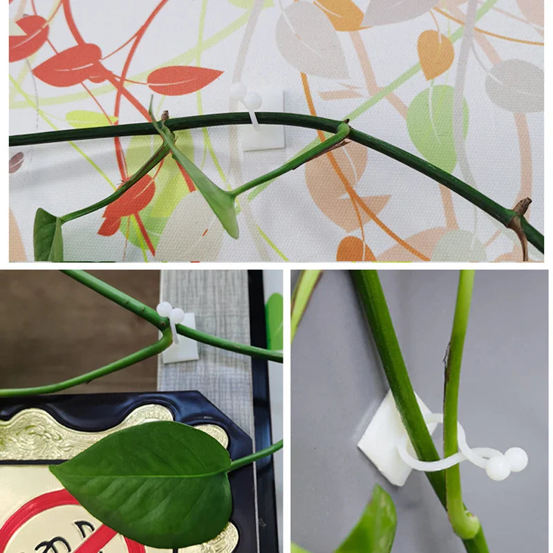 Climbing Wall Fastening Clips - Practical Plant Holders for Wall Decoration