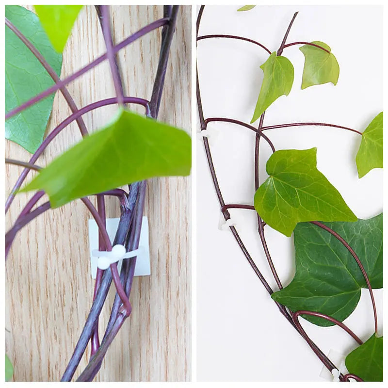 Climbing Wall Fastening Clips - Practical Plant Holders for Wall Decoration