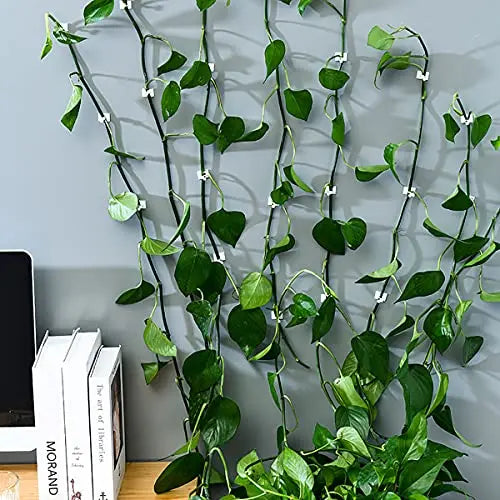 Climbing Wall Fastening Clips - Practical Plant Holders for Wall Decoration