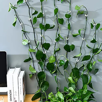 Climbing Wall Fastening Clips - Practical Plant Holders for Wall Decoration