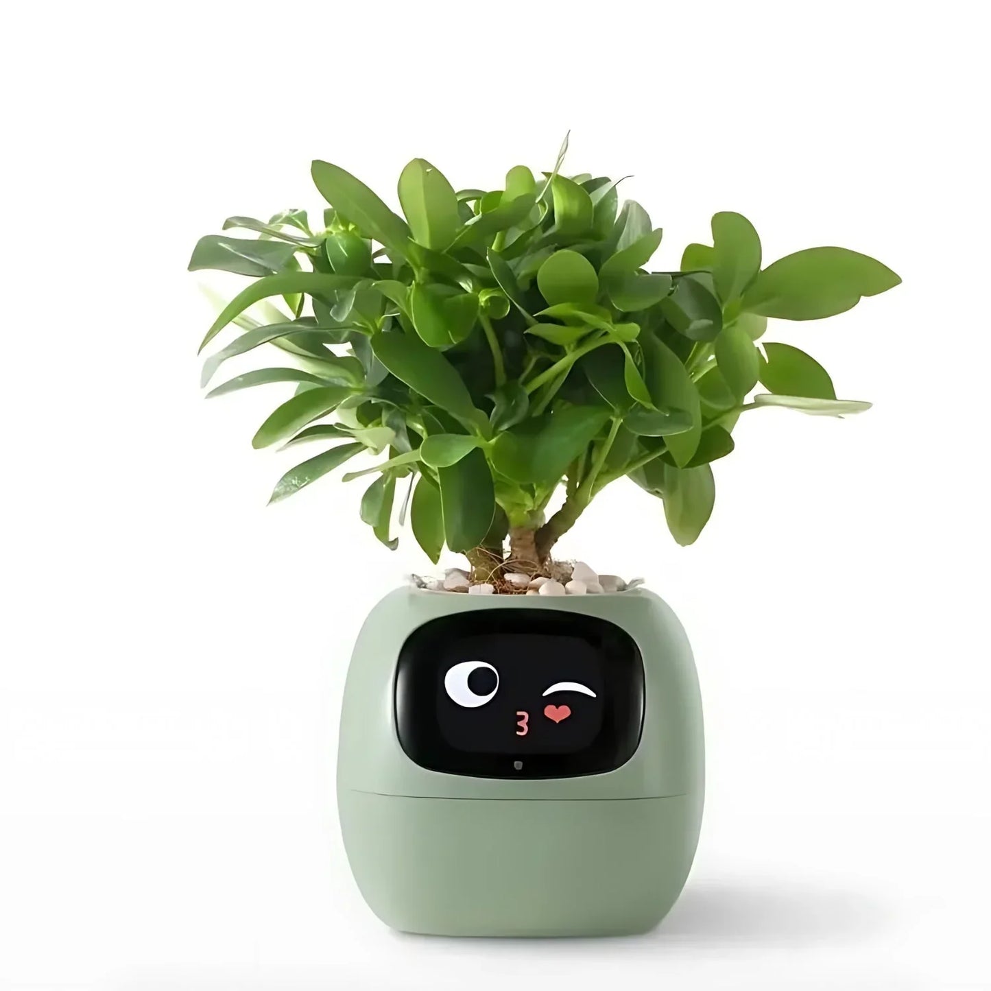 Automatic Smart Flower Pot with Watering System and Led Lights