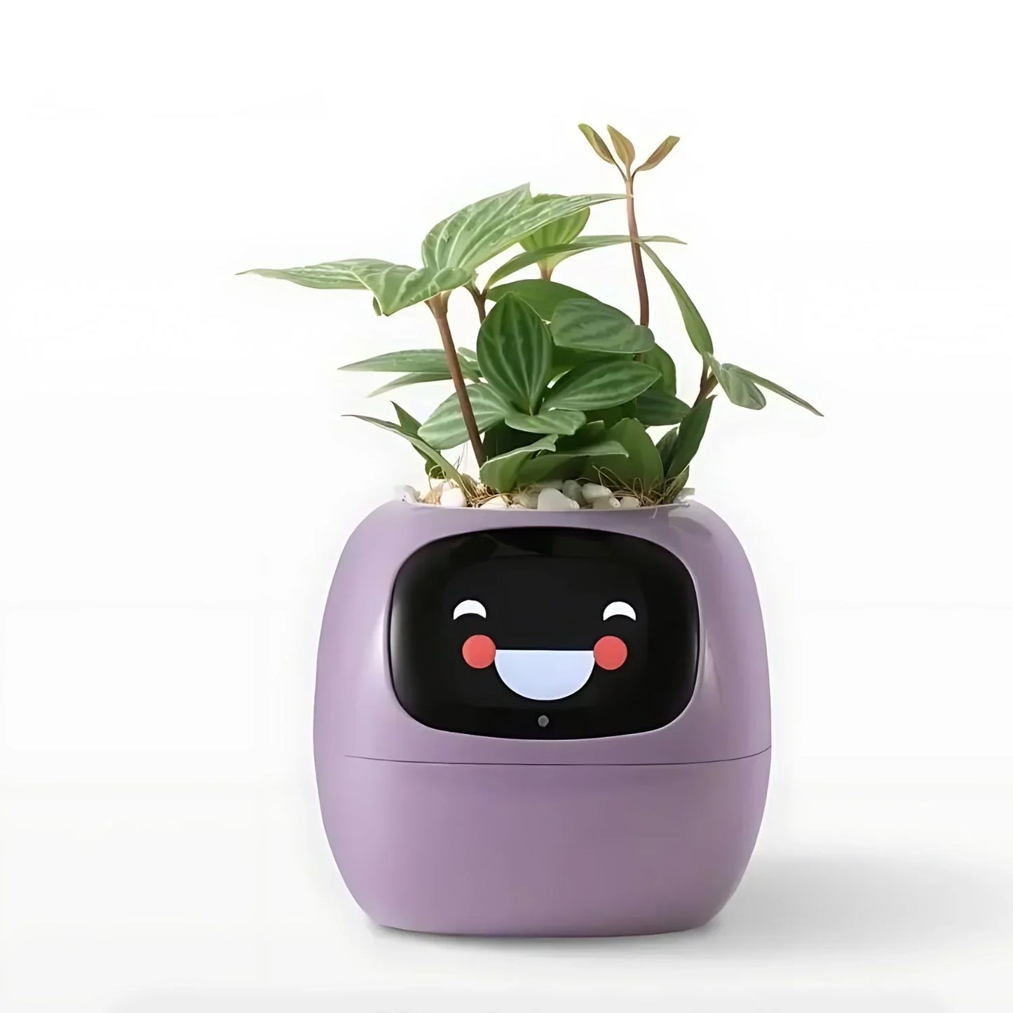 Automatic Smart Flower Pot with Watering System and Led Lights