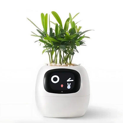 Automatic Smart Flower Pot with Watering System and Led Lights