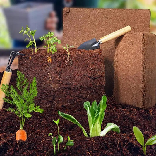 Fertilized Coconut Soil