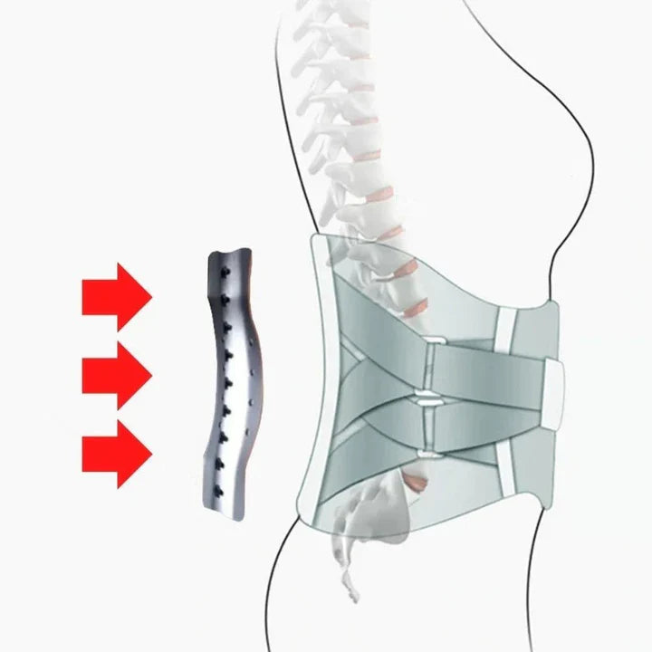Lumbar Vertebra Pain-Relieving Back Support