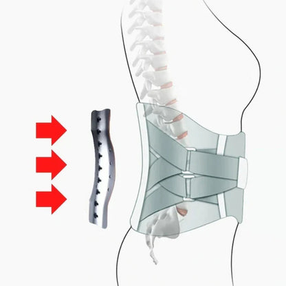 Lumbar Vertebra Pain-Relieving Back Support
