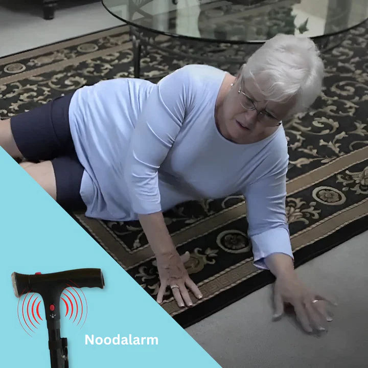Stable Walking Aid | Discreet Support for Independent Mobility