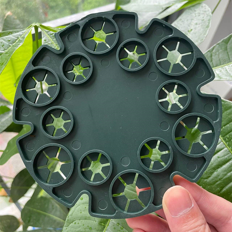 Plant Support Ring for Bamboo Poles - Stable Climbing Support for Tomatoes and Climbing Plants