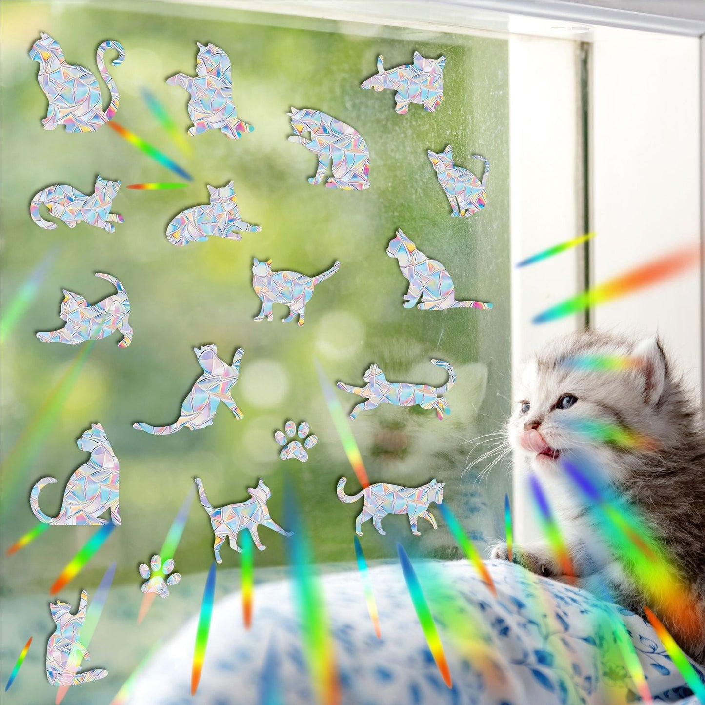 Rainbow window sticker