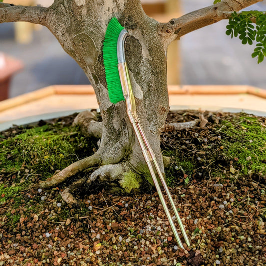 Nylon Brush for Bonsai Trunk Area Cleaning - Garden Care Tool