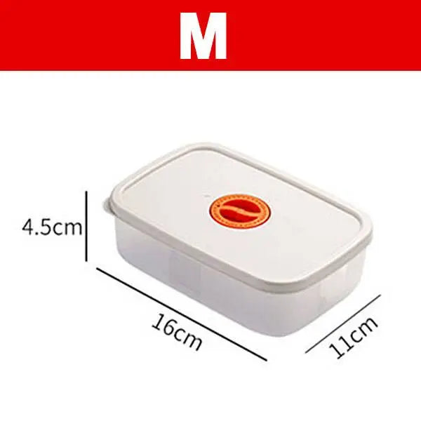 Bento Lunchbox - Food Container With Compartments