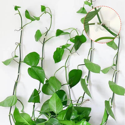 Climbing Wall Fastening Clips - Practical Plant Holders for Wall Decoration