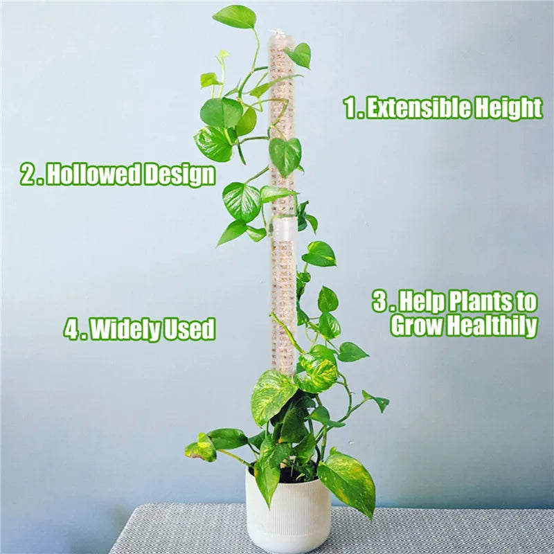 Pillars for Climbing Plants and Green Plants - Support Pillars for Vertical Plant Cultivation