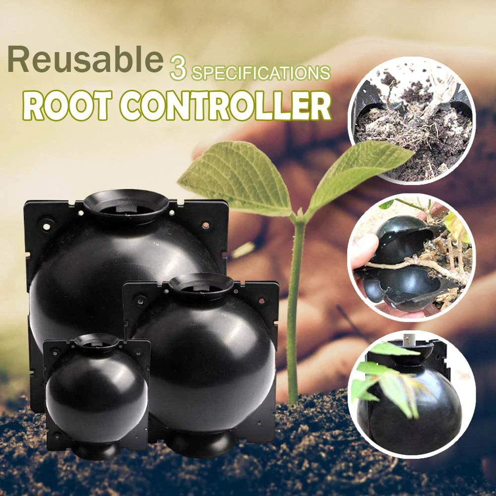 Plant Protection Balls for Roots - Protective Caps for Safe Transplanting and Growth