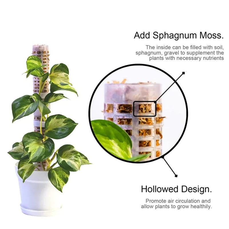 Pillars for Climbing Plants and Green Plants - Support Pillars for Vertical Plant Cultivation