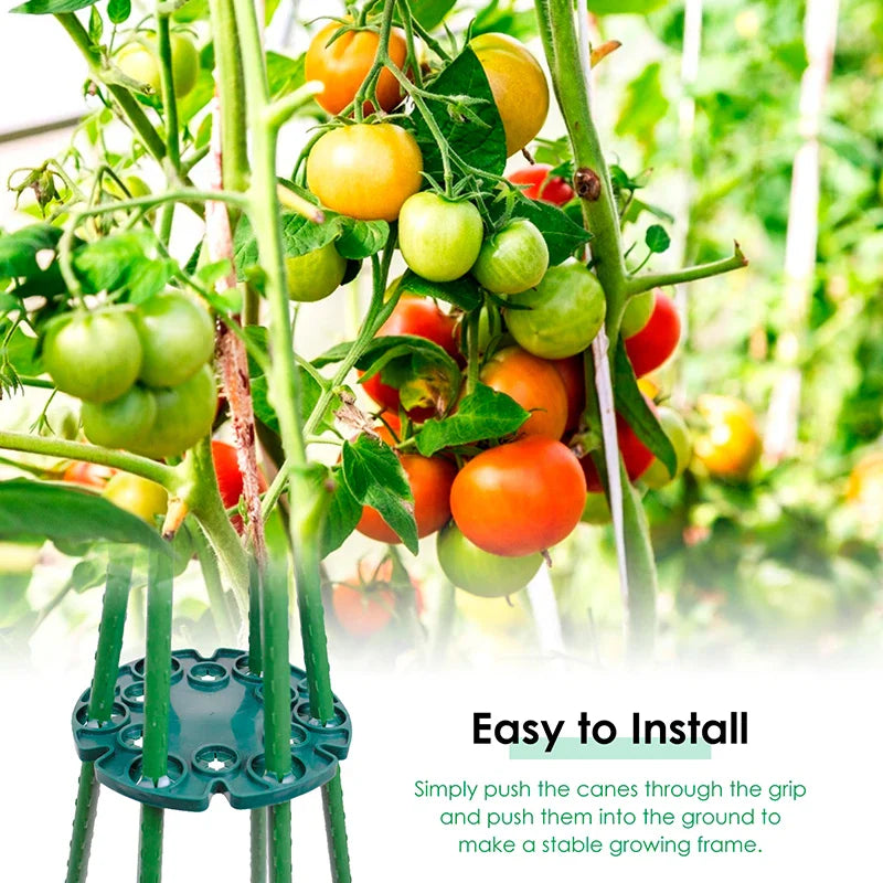 Plant Support Ring for Bamboo Poles - Stable Climbing Support for Tomatoes and Climbing Plants