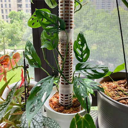 Pillars for Climbing Plants and Green Plants - Support Pillars for Vertical Plant Cultivation