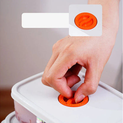 Bento Lunchbox - Food Container With Compartments