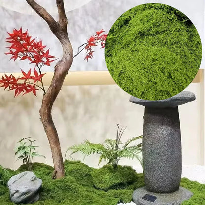 Moss Cover Piece - Moss Flake Ornament for Decoration and Landscaping
