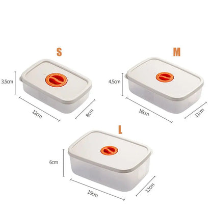 Bento Lunchbox - Food Container With Compartments