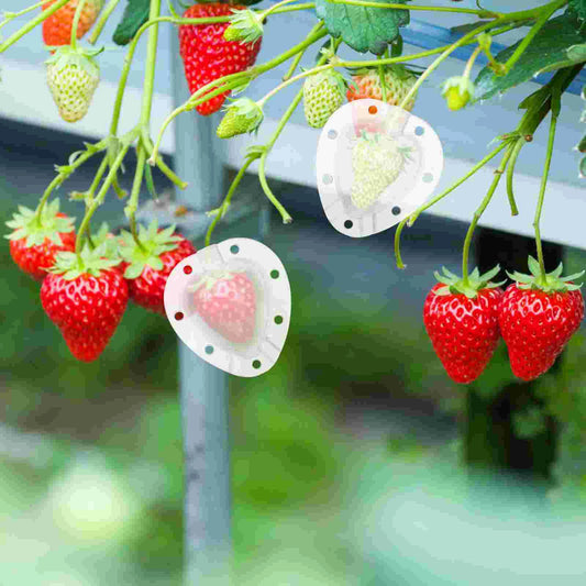Heart - Shaped Vegetable Mould - Creative Moulded Bowl for Vegetables and Fruit
