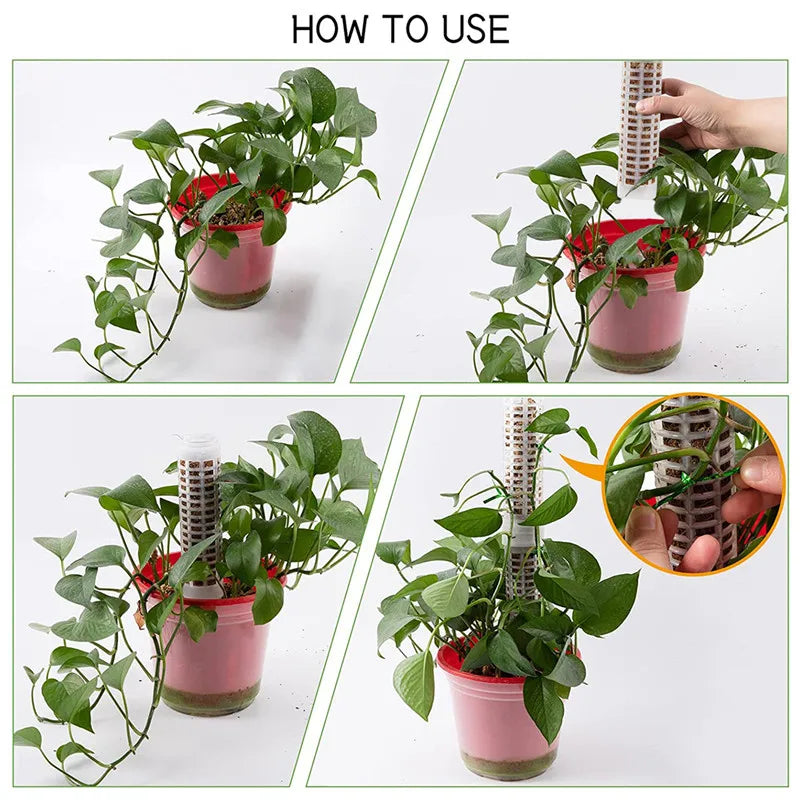 Pillars for Climbing Plants and Green Plants - Support Pillars for Vertical Plant Cultivation