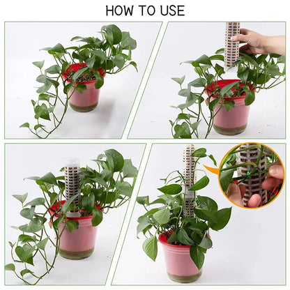 Pillars for Climbing Plants and Green Plants - Support Pillars for Vertical Plant Cultivation