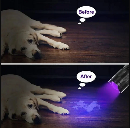 Uv Led Torch - Ultraviolet Light For Stain Detection And Pet Urine Detection