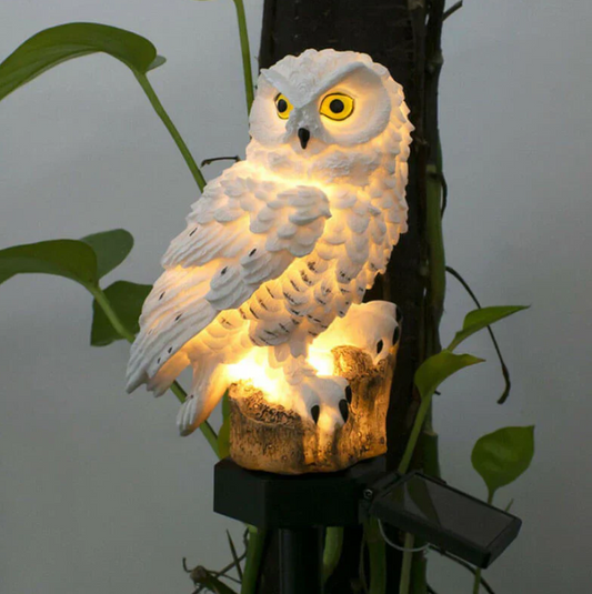 Solar Owl Garden Light