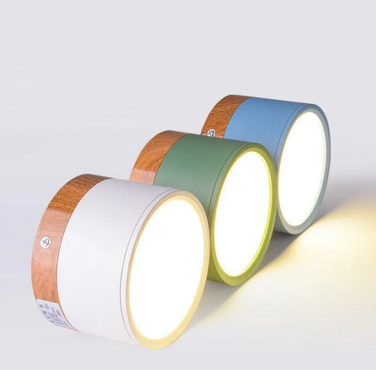 Morandi-inspired Modern LED Ceiling Lamp