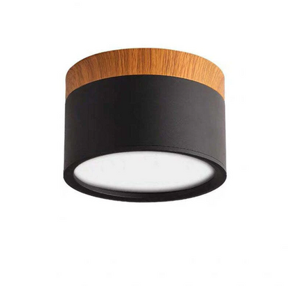 Morandi-inspired Modern LED Ceiling Lamp