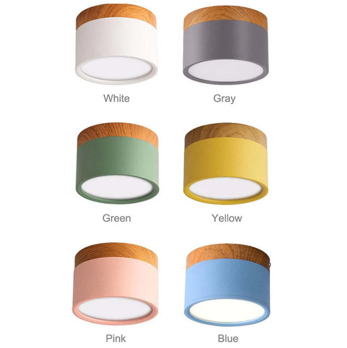 Morandi-inspired Modern LED Ceiling Lamp