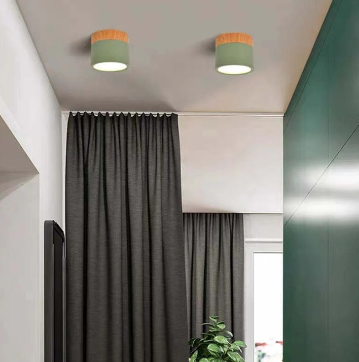 Morandi-inspired Modern LED Ceiling Lamp