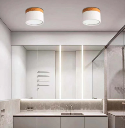 Morandi-inspired Modern LED Ceiling Lamp