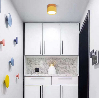 Morandi-inspired Modern LED Ceiling Lamp