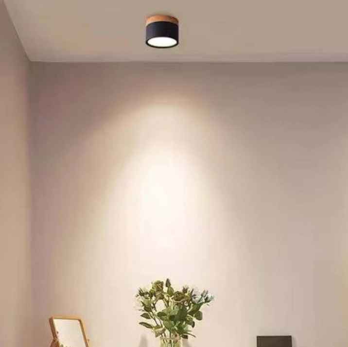 Morandi-inspired Modern LED Ceiling Lamp