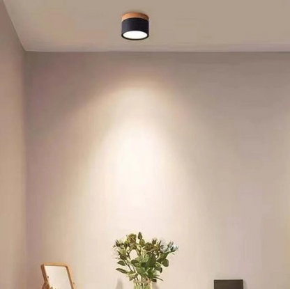 Morandi-inspired Modern LED Ceiling Lamp