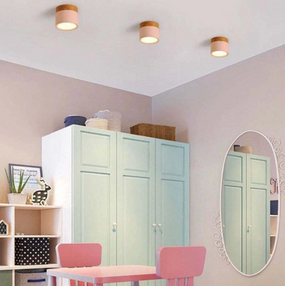 Morandi-inspired Modern LED Ceiling Lamp